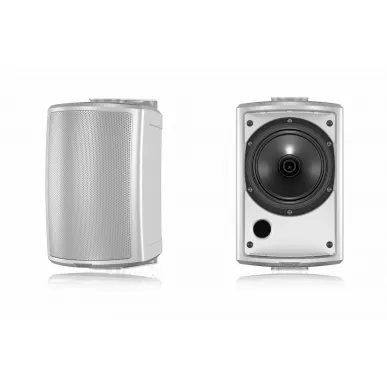 Настенная акустика Tannoy AMS 5DC (white)